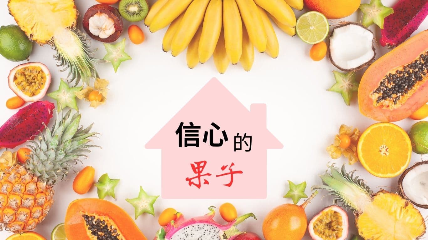 信心的果子