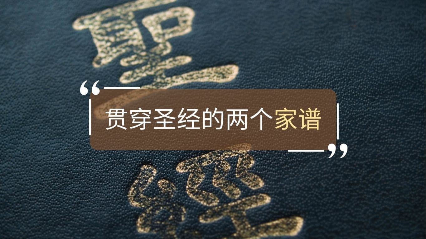 贯穿圣经的两个家谱