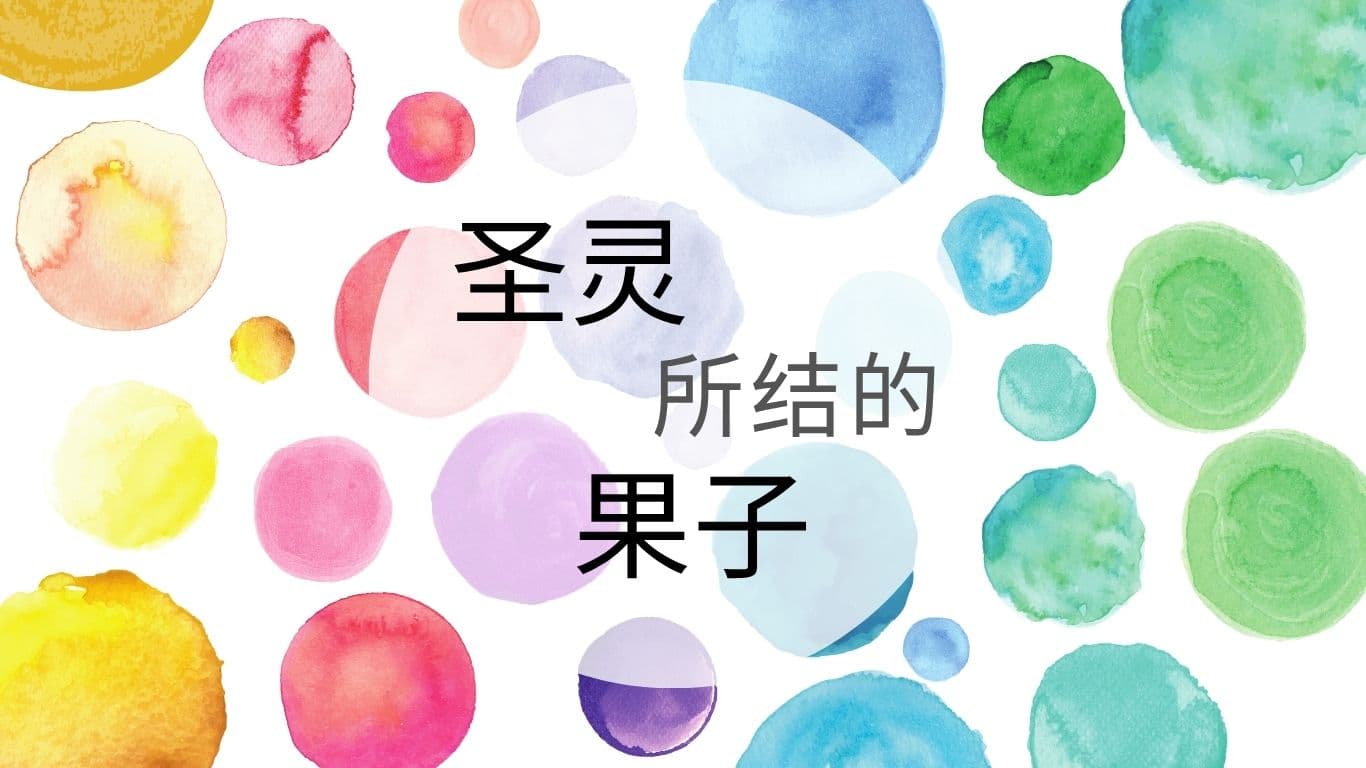 圣灵所结的果子