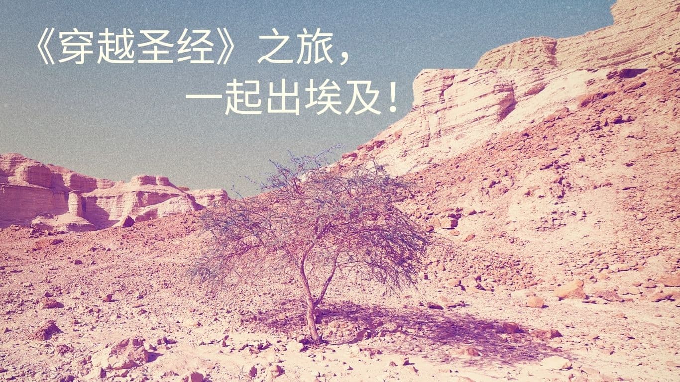 《穿越聖經》之旅，一起出埃及！