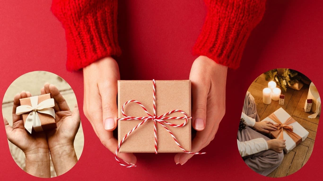 神借节目给我……